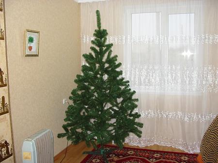 Post Your Christmas Tree: December 2008-122-2220_img-jpg